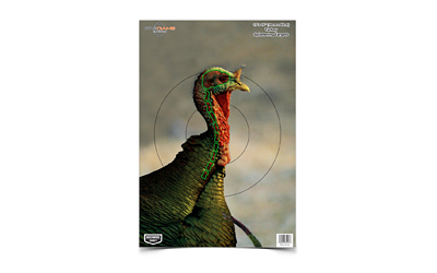 B/C PREGAME TURKEY TGT 8-12X18 - for sale