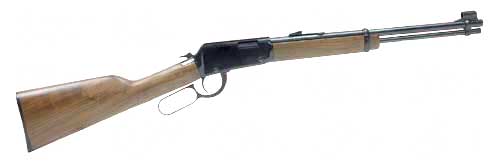 Henry Repeating Arms - Henry Lever - .22LR for sale