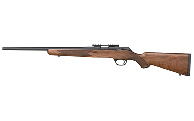 SPRGFLD 2020 RIMFIRE TRGT 22LR GRDAA - for sale