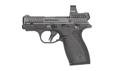 S&W BDYGRD 2.0 RFX1 380ACP 10RD TS - for sale