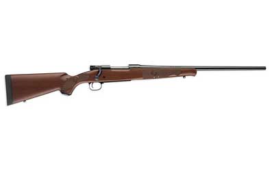 Winchester - Model 70 - 243 for sale