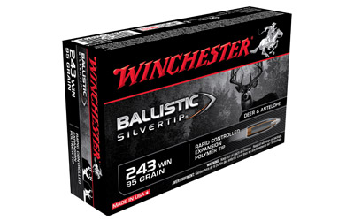 WIN BLSTC TIP 243WIN 95GR 20/200 - for sale